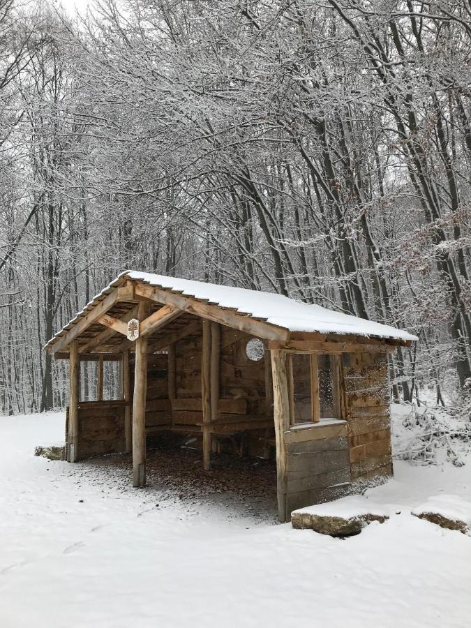 Ferienwohnung Morgensonne Am Kurpark Bad Berka - Parkplatz - Spielplatz - Wlan - 2 Schlafzimmer ภายนอก รูปภาพ