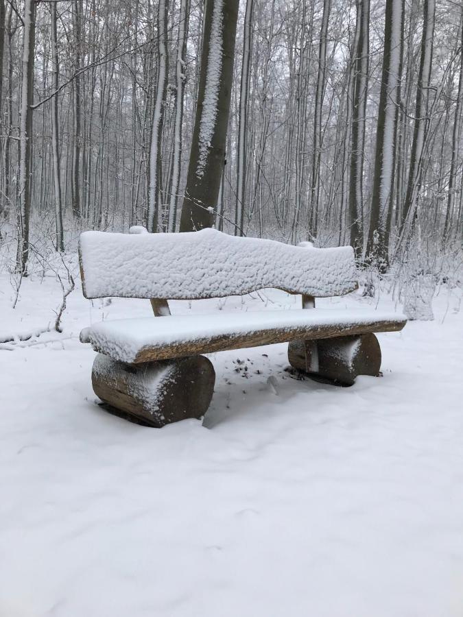 Ferienwohnung Morgensonne Am Kurpark Bad Berka - Parkplatz - Spielplatz - Wlan - 2 Schlafzimmer ภายนอก รูปภาพ